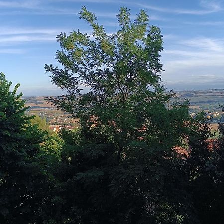 Appartamenti Dei Conti Osimo Exteriör bild