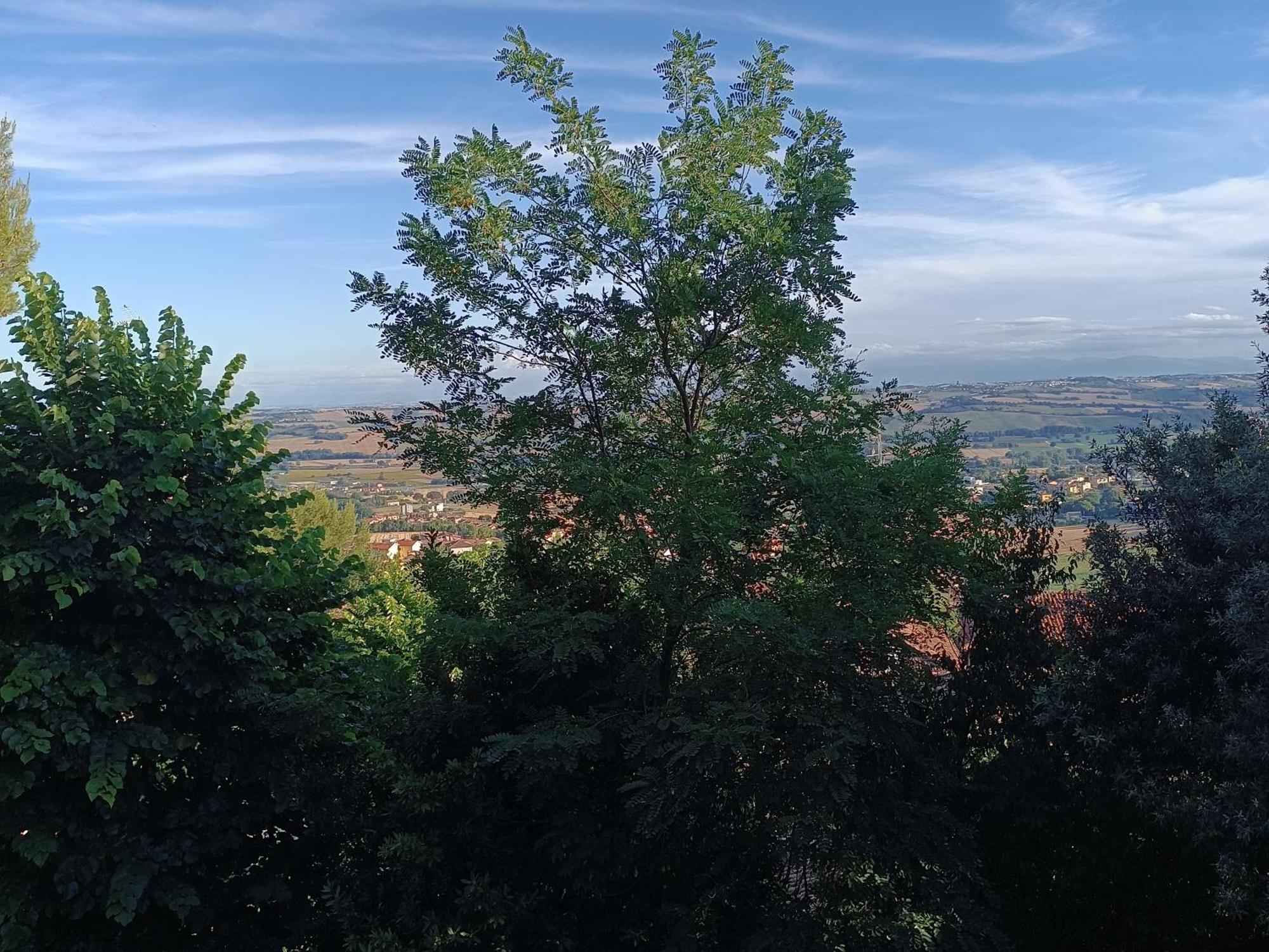 Appartamenti Dei Conti Osimo Exteriör bild